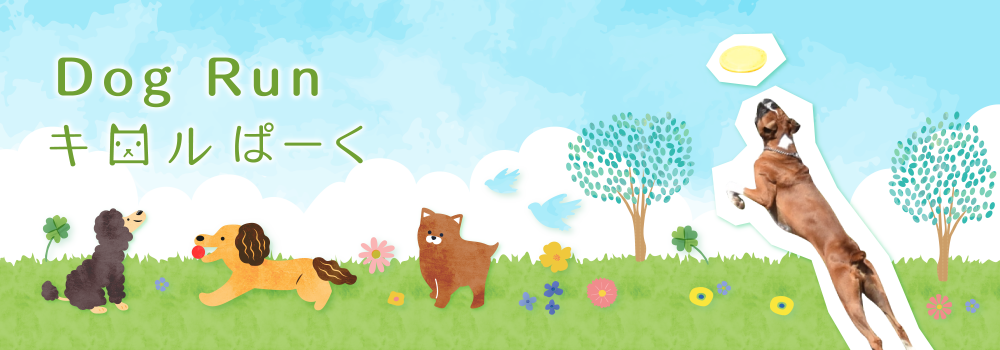 Dog Run キロルぱーく