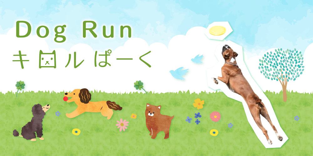 Dog Run キロルぱーく